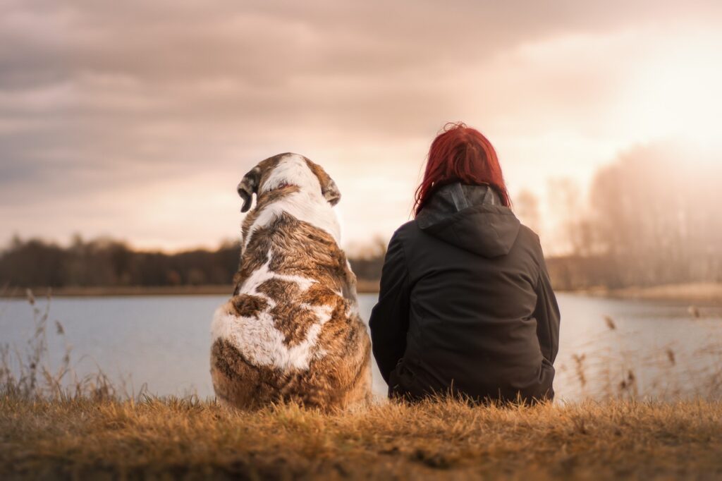 Persona paseando con su perro grande junto a un lago, imagen ideal para productos de limpieza de pis de perros durante los paseos